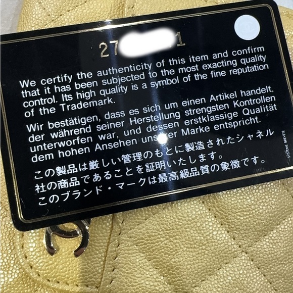 CHANEL Iridescent Caviar Quilted Wallet on Chain Flap Bag - Picture 14 of 15